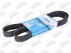 RENAULT 4208K1436PGP V-Ribbed Belts